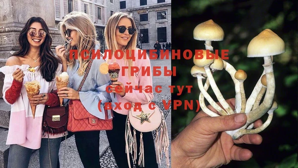 амф Абинск